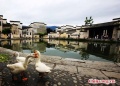 120px-Hongcun Village.JPEG