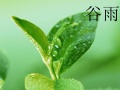 120px-Guyu (谷雨) is one of the 24 traditional Chinese solar terms.jpg