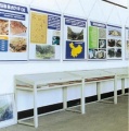 119px-China Display Hall of Quaternary Glacier Relics.jpg
