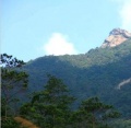 120px-Mount Luofu.jpg
