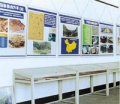 120px-China Display Hall of Quaternary Glacier Relics.JPEG