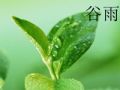 200px-Guyu (谷雨) is one of the 24 traditional Chinese solar terms.jpg