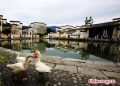 800px-Hongcun Village.JPEG