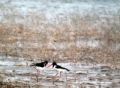 200px-Naturereserves.jpg