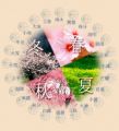250px-The Twenty-four Solar Terms 二十四节气.JPEG