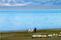 Qinghai Lake.jpg