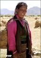 250px-Tibetan.jpg